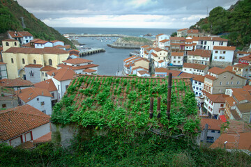 Obraz premium Casa rural invadida por la yedra en Cudillero (Asturias), España