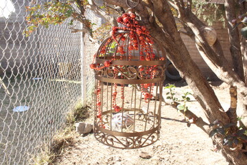 Jailbird 
Jaula para p&aacute;jaro