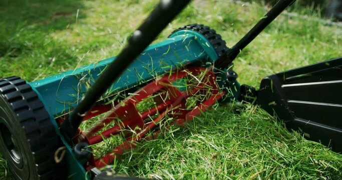 Close up on a manual lawnmower cutting grass