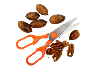 Some pecan nuts and kitchen scissors with nutcracker