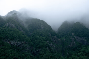 Naklejka premium 岩内町雷電海岸沿いの霧に包まれた断崖（Iwanai Town Raiden A foggy cliff along the coast）
