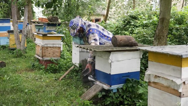 A beekeeper works near the bees. Work with beehives. 