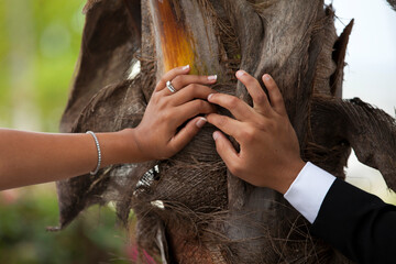 Summer wedding with beautiful wedding rings