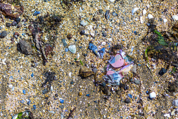 pollution on the beach