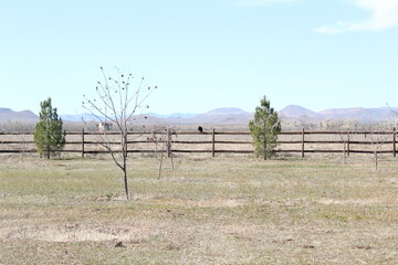 Fototapeta na wymiar real small ranch