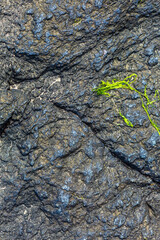 stone wall texture