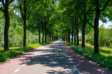 Fototapeta na wymiar Dutch road between villages, transportation in Netherlands for cars and bicycles