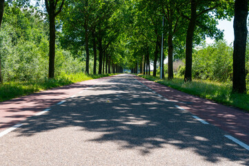 Dutch road between villages, transportation in Netherlands for cars and bicycles