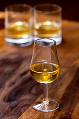 Scotch single malt or blended whisky tasting on distillery in Scotland, UK