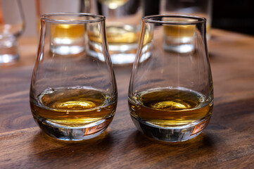 Scotch single malt or blended whisky tasting on distillery in Scotland, UK
