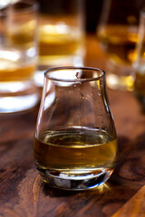 Scotch single malt or blended whisky tasting on distillery in Scotland, UK