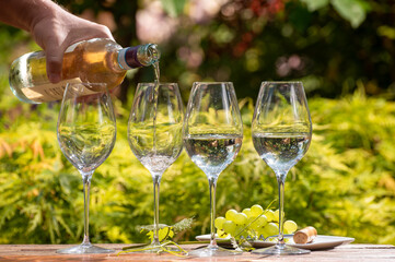 White and rose wine tasting on winery, pouring of cold dry wine in glasses outdoor in sunny day