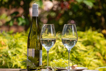 Quality wine tasting on winery in Mosel wine redion in Germany, two glasses and one bottle of riesling white wine served outdoor in sunny day