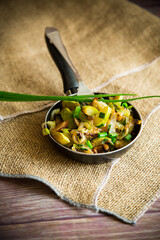 stewed zucchini with eggplant, mushrooms, onions and other vegetables