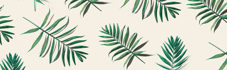 Tropical palm leaves from above - flat lay