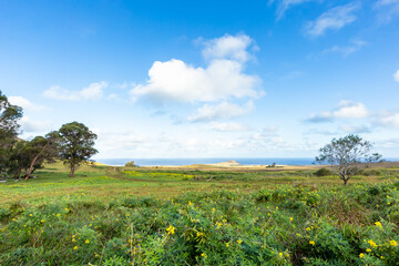Naklejka premium Road in Easter Island, Rapa Nui. Chile.
