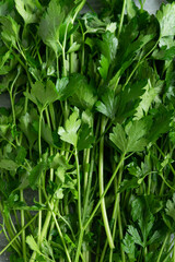 Fototapeta na wymiar Close up view of fresh raw parsley