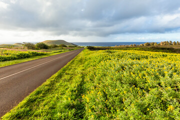 Road in Easter Island, Rapa Nui. Chile.