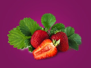 Three juicy red strawberries isolated on a dark purple background with green leaves. Cut strawberries.