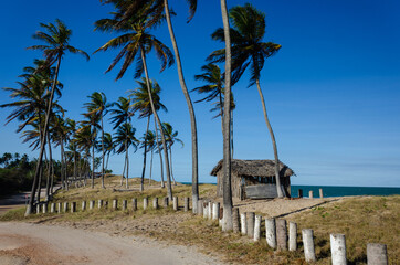 beach hut on the beach - cabana dos pescadores - Barra de Camaratuba - Paraíba