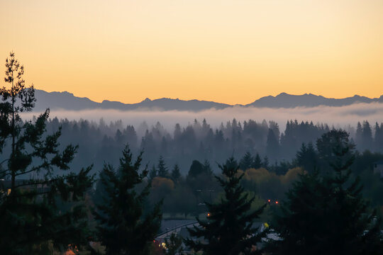 Yellowish sky over the silhouette of Pacific Cascade Range with silhouette of a forest in foreground during twilight hours on Mercer Island in Washington state on an autumn day.