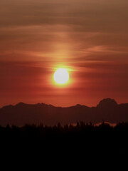 In the foreground, silhouette of forest and Northwest Cascade Range and bright sun in an orange-red sky during sunrise hours on Mercer Island in Washington State.