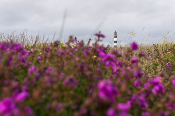 Le phare avec les fleurs