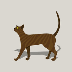 Vector illustration with cute ginger cat on beige background.