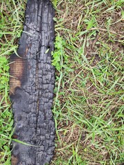 Burned boards. Ash. Black boards after the fire. The texture of a burnt tree.