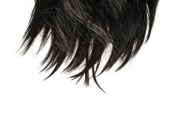 Black hair tips isolated on white.