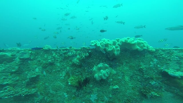 Epave de bateau, plong&eacute;e sous marine aux &icirc;les Gili, Indon&eacute;sie 