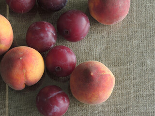 plums and peaches on the background of old burlap.