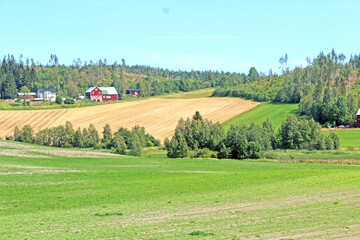 Fototapeta na wymiar meadows, fields and houses