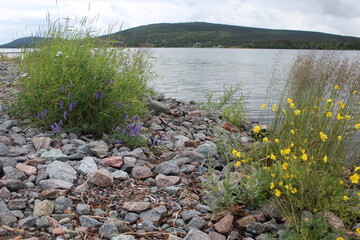 lake in the mountains