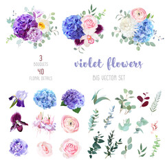 Violet, purple and blue flowers and greenery big vector collection.