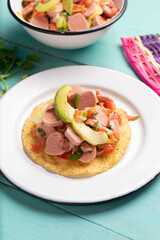 Mexican sausage ceviche with avocado on turquoise background