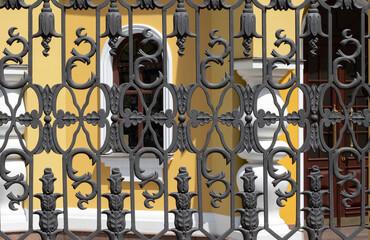 image of forged fence in front of the house