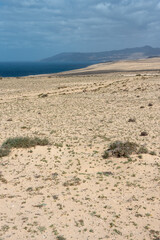 Barlovento desert area, Fuerteventura, Canary Islands. Ocean and high mountains in the background. Selective focus. 