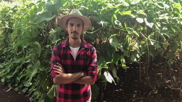 Farmer at chayote plantation background