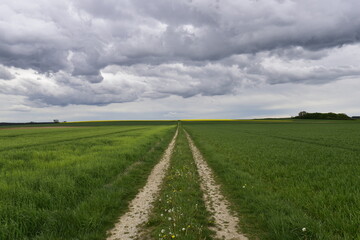 Fototapeta na wymiar Feldweg mit Wolken