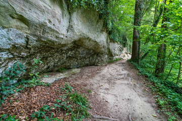 Nature reserve Aachtobel