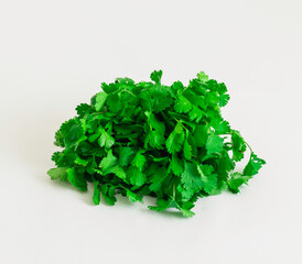 GREEN PARSLEY