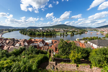 Fototapeta na wymiar Miltenberg