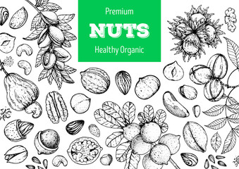 Nuts collection hand drawn sketch. Organic healthy food. Great for packaging design. Pistachios, walnut, hazelnut, almond, cashew, pecan nuts vector illustration. Engraved style. Black and white color
