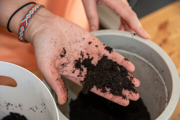 Female holding potting loam with a bare hand