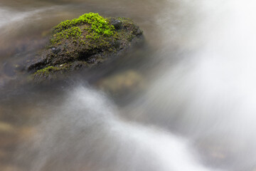 green moss on the rocks