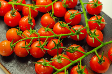 Covered with drops of water, fresh tomatoes with sprigs on wood