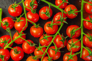 Covered with drops of water, fresh tomatoes with sprigs on wood