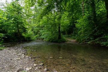 Nature reserve Aachtobel