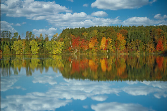 autumn trees reflecting in lake water
